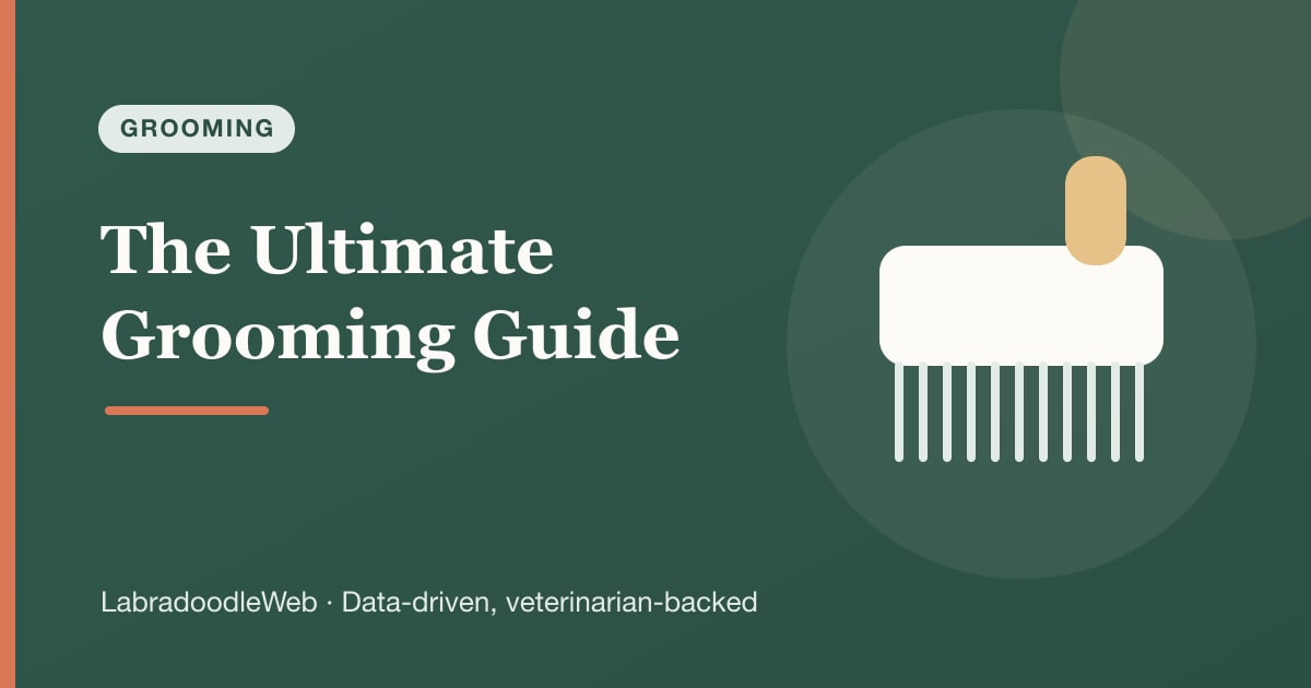 The Ultimate Labradoodle Grooming Guide: Preventing Matting