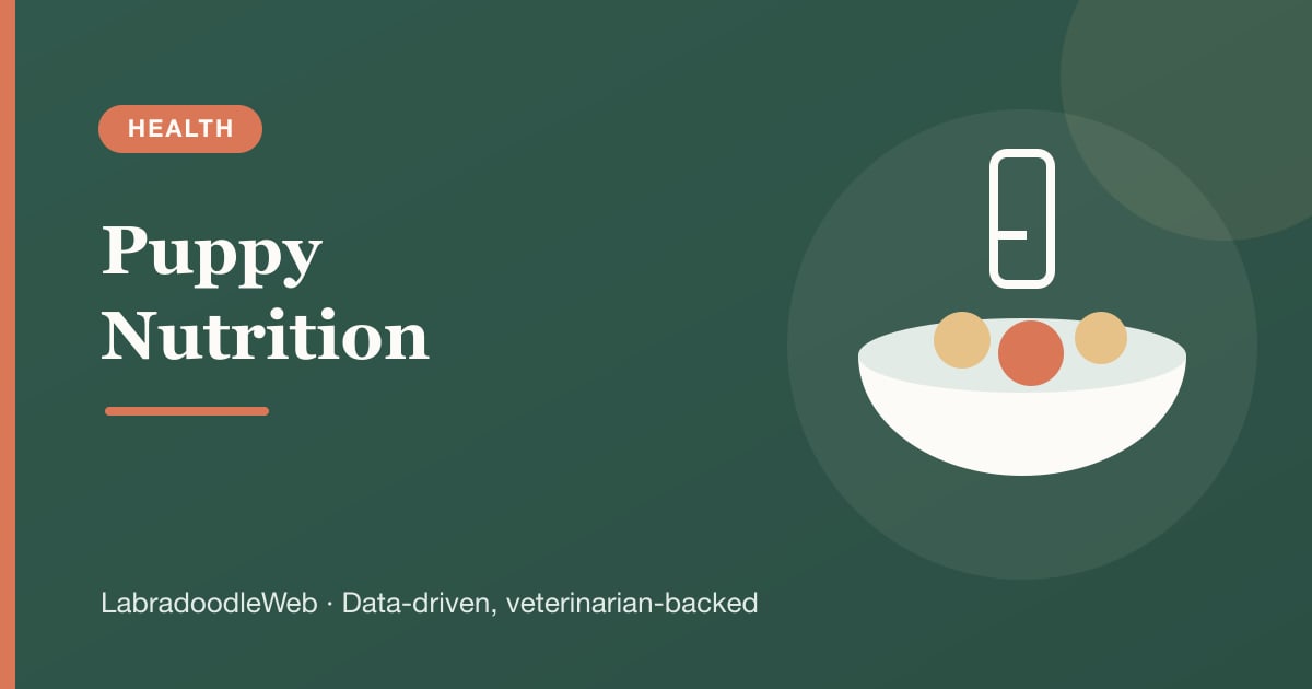 Labradoodle Puppy Nutrition: Fueling Growth & Joint Health