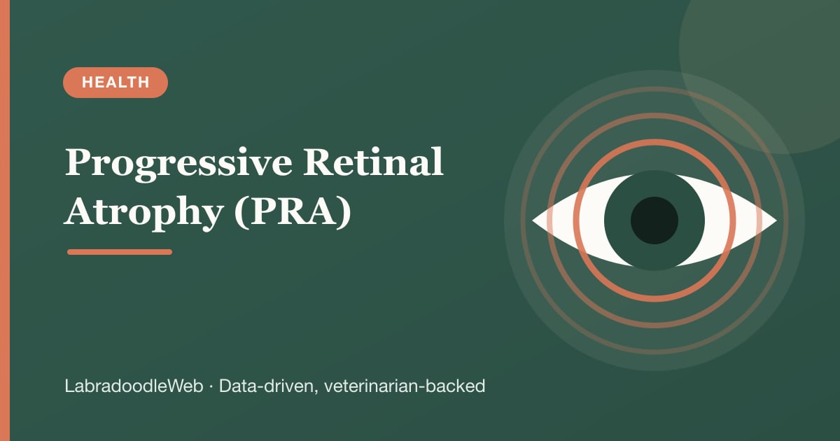 Progressive Retinal Atrophy (PRA) in Labradoodles: The Silent Genetic Threat